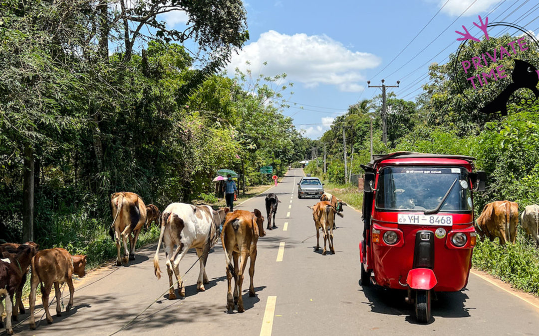 Sri Lanka Rundreise